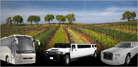 El Dorado County Tours Limo Service Novato