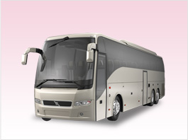 Novato 40 Passenger Party Bus