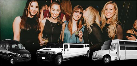 Novato Night On The Town Limousine Service Novato Night On The Town Limousine Service