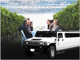 Novato Wine Tours Limousine Service