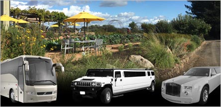 Sonoma County Wine Tours Limo Service Novato