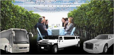 Wine Tours Limo Rental Service Novato